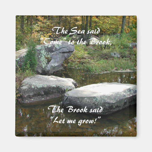 Tranquil Stream - Magnet #2 (Front)
