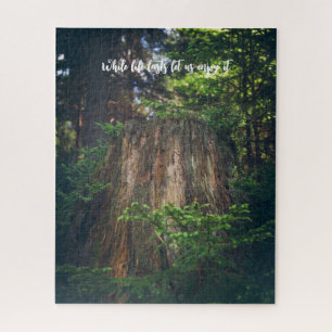 Tranquil summer forest  jigsaw puzzle