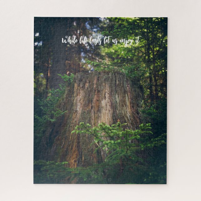 Tranquil summer forest  jigsaw puzzle (Vertical)