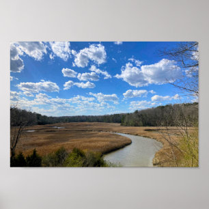 Tranquil Swampy Wetland Yorktown Virginia Poster