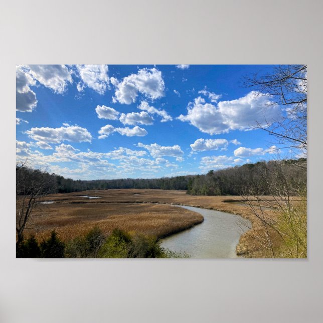 Tranquil Swampy Wetland Yorktown Virginia Poster (Front)