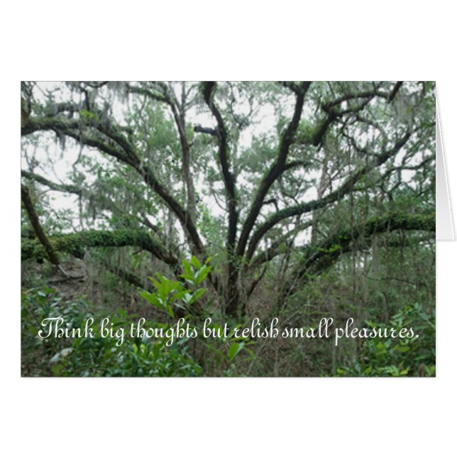 Tranquil Tree All Occasion Greeting Card (Front Horizontal)