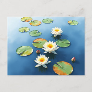Tranquil Water Lilies Floating on Calm Pond Postcard