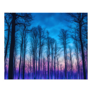  Tranquil Winter Forest Photo Print