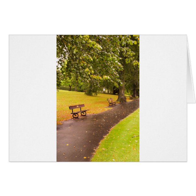 TRANQUILITY (Front Horizontal)