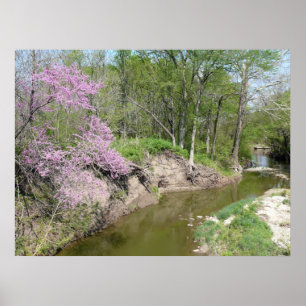 Tranquility Poster