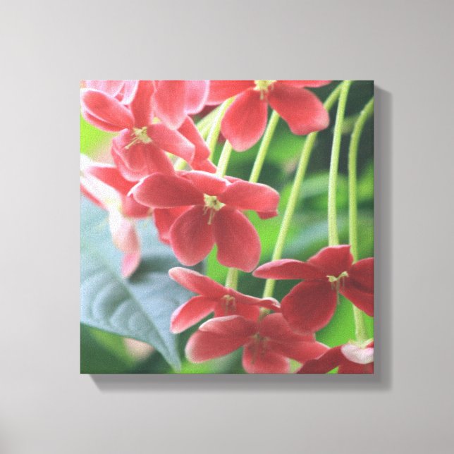 Tranquillity Canvas Print (Front)
