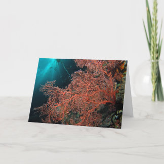 Tranquillity Card