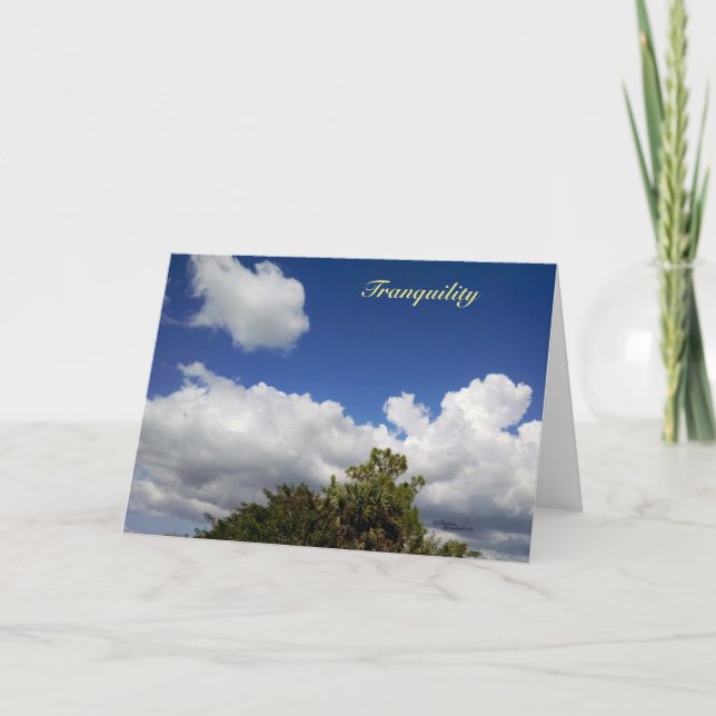 Tranquillity florida clouds Greeting Card (Front)
