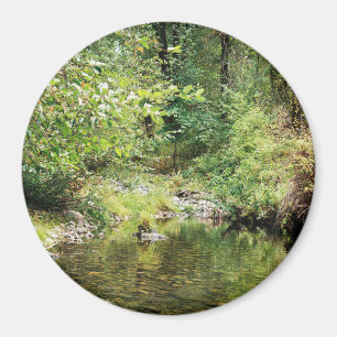 Tranquillity in the woods...... magnet