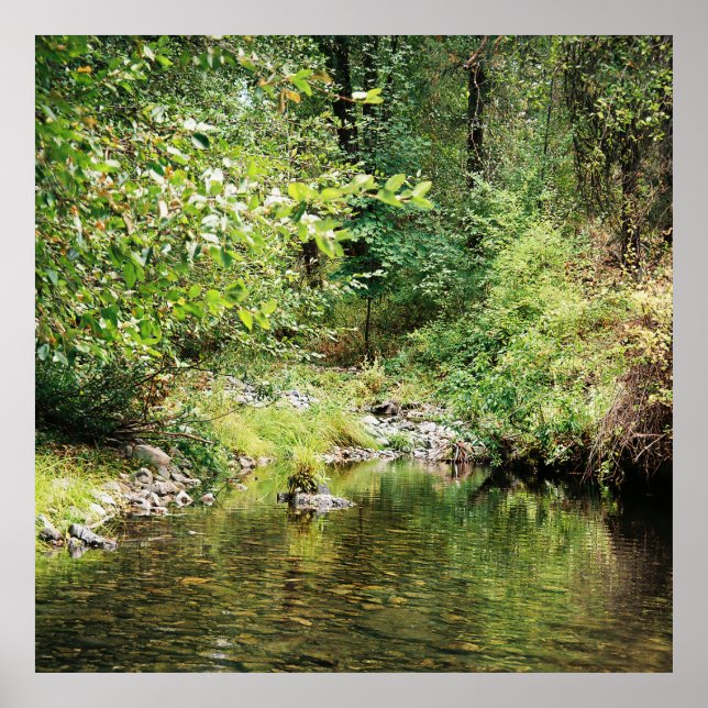 Tranquillity in the woods...... poster (Front)