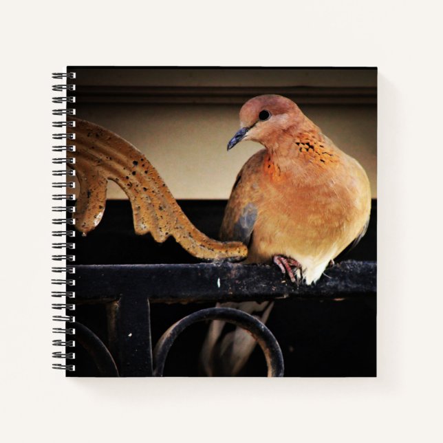 Tranquillity  notebook (Front)