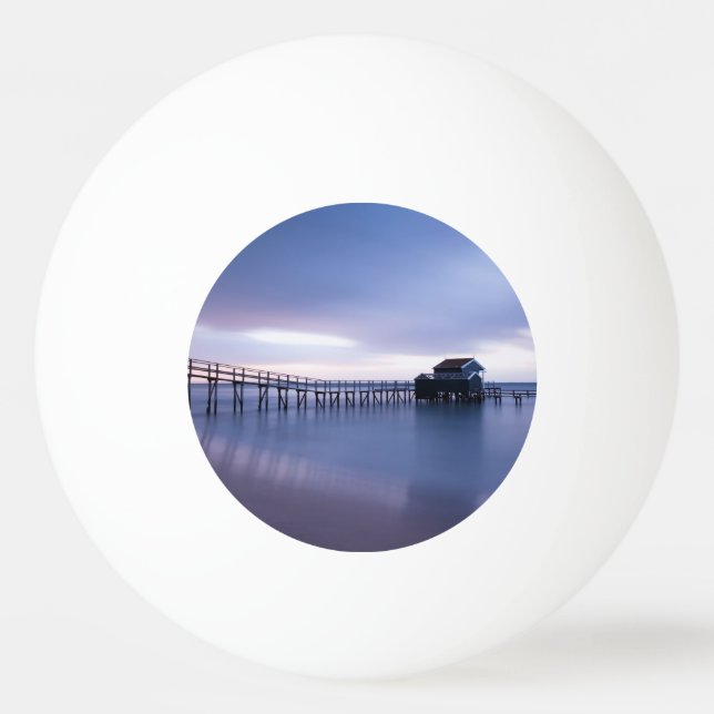 Tranquillity Ping Pong Ball (Front)
