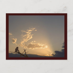 Tranquillity Postcard