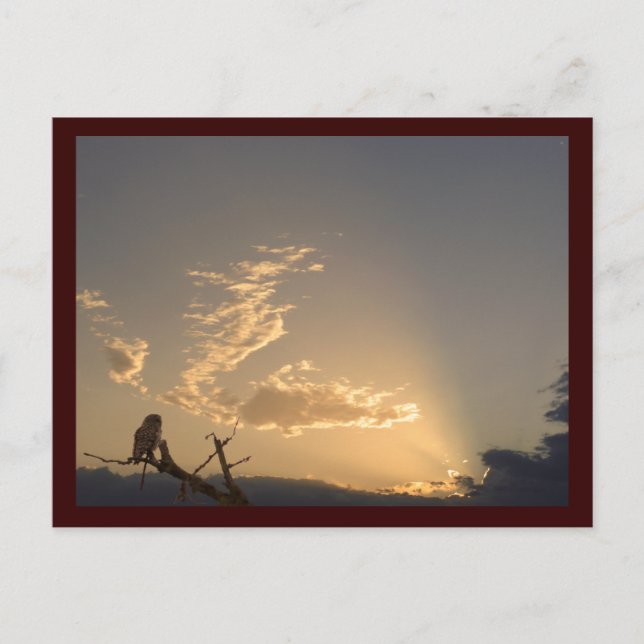 Tranquillity Postcard (Front)