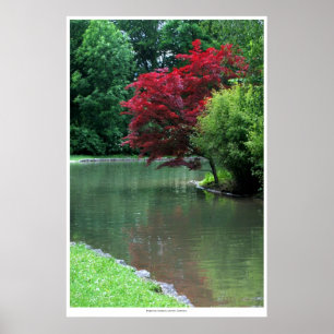 Tranquillity Poster