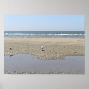 Tranquillity Poster