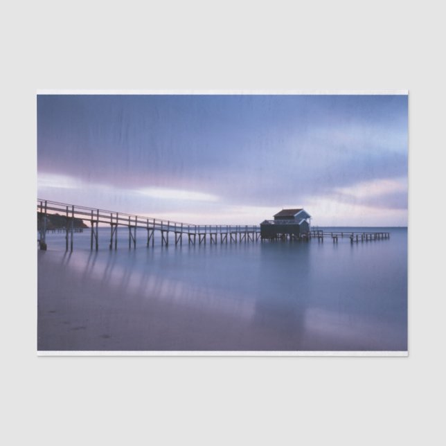 Tranquillity Tissue Paper (Front)