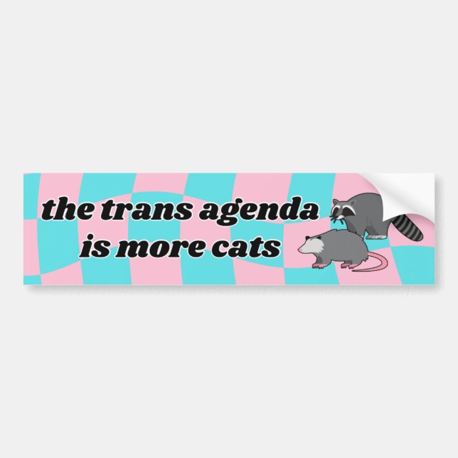 Trans Agenda Bumper Sticker (Front)