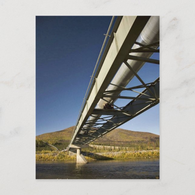 Trans Alaska oil pipeline crossing South fork Koyu Postcard (Front)