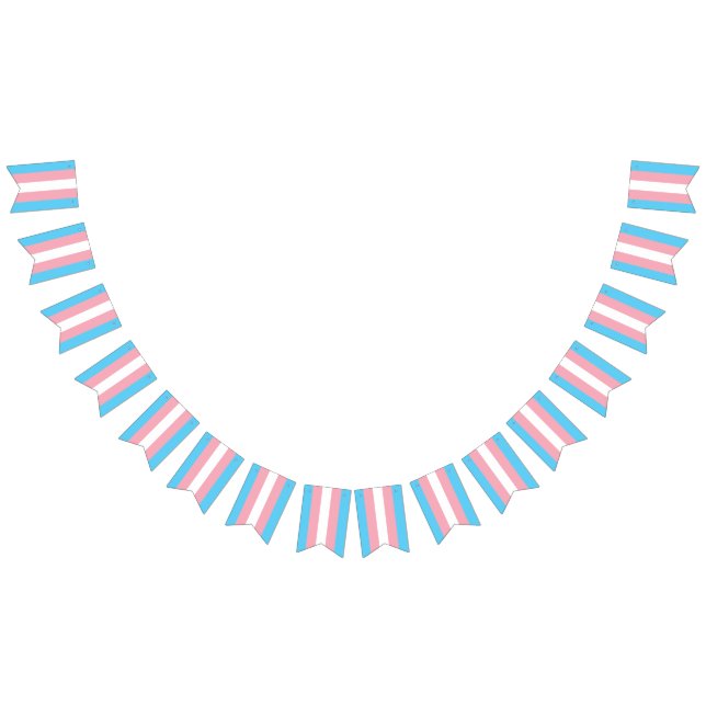 Trans Bunting Flag (All)