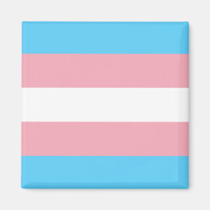 Trans Flag Magnet