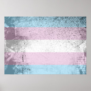 TRANS FLAG ORIGINAL -.png Poster