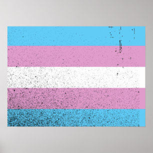 TRANS FLAG ORIGINAL -.png Poster