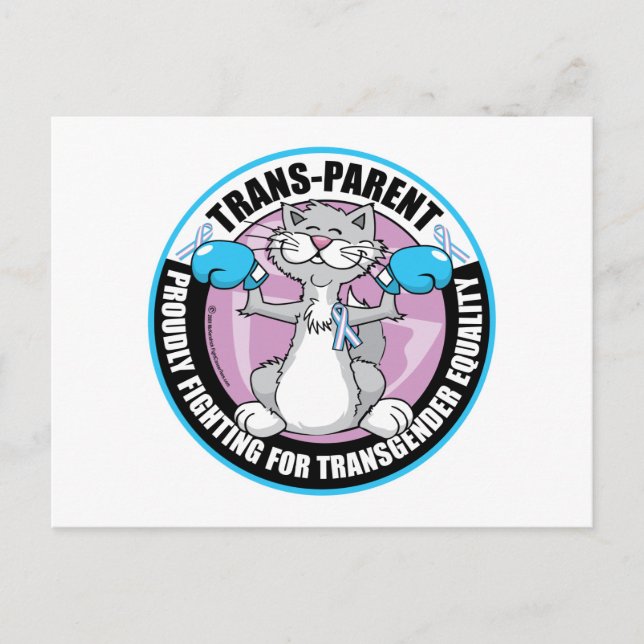 Trans-Parent Cat Fighter Postcard (Front)