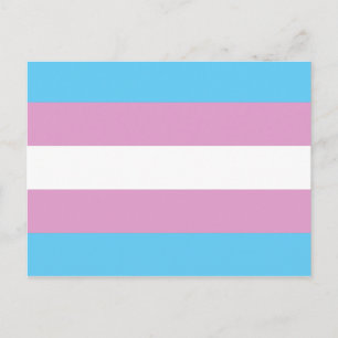 Trans Pride Flag - (2) Postcard