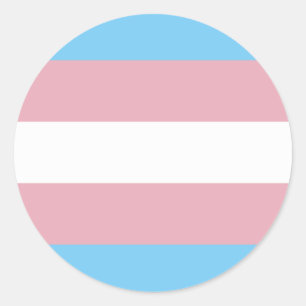 Trans Pride Flag Classic Round Sticker