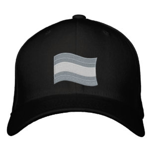 Trans Pride Flag Embroidered Hat