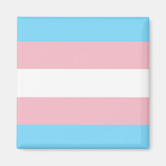 Trans Pride Flag Magnet