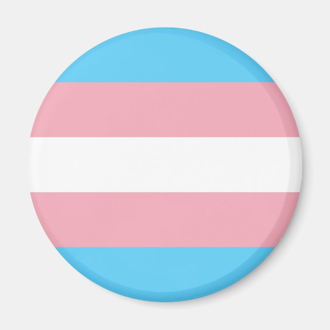 Trans Pride Flag Magnet (Front)