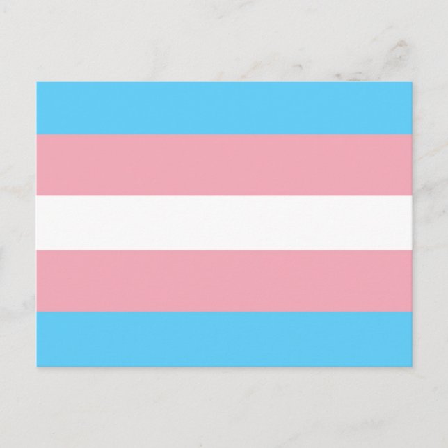Trans Pride Flag Postcard (Front)