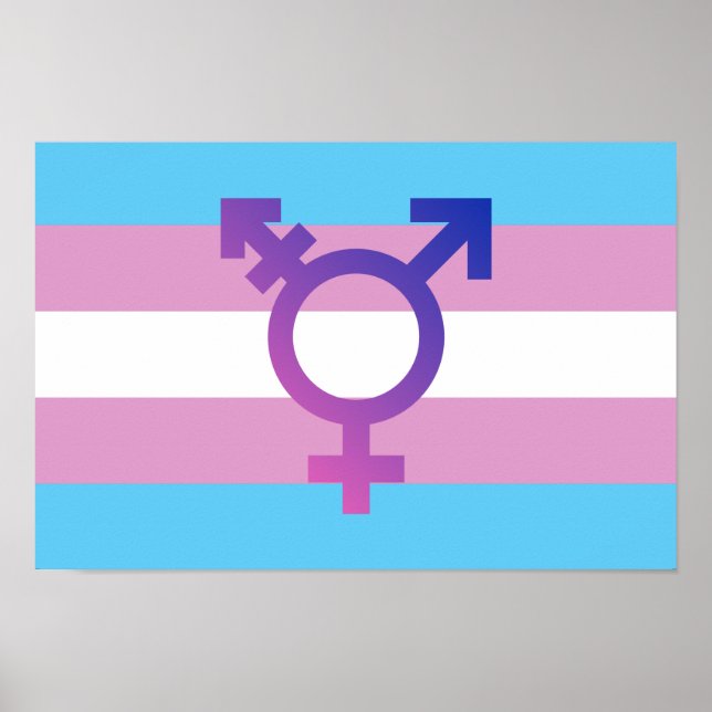 Trans Pride Flag Poster (Front)