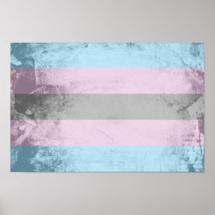 Trans Pride Flag Poster