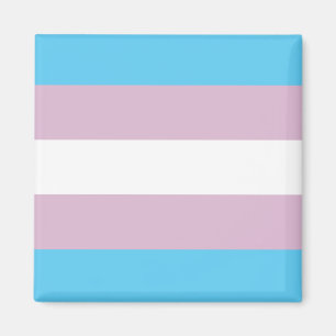Trans Pride magnet
