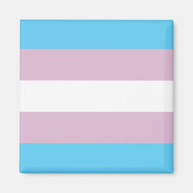 Trans Pride magnet (Front)
