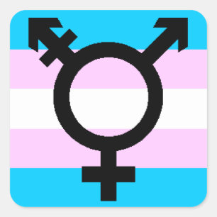 Trans Pride stickers - rounded, with symbol