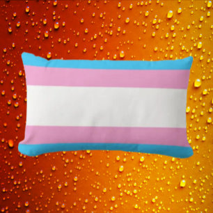 Trans Pride Support Lumbar Cushion