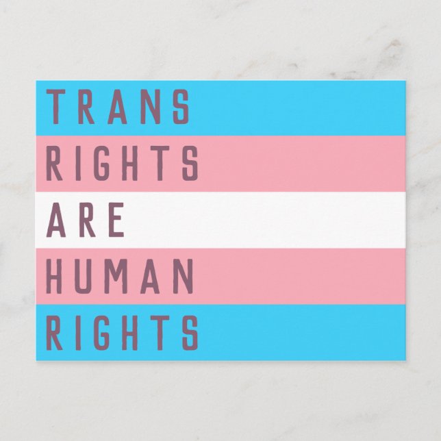 Trans Rights Are Human Rights Transgender Flag Postcard (Front)