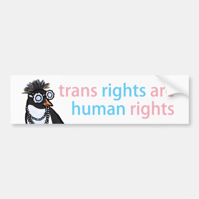 Trans rights bumper sticker with a cool penguin (Front)