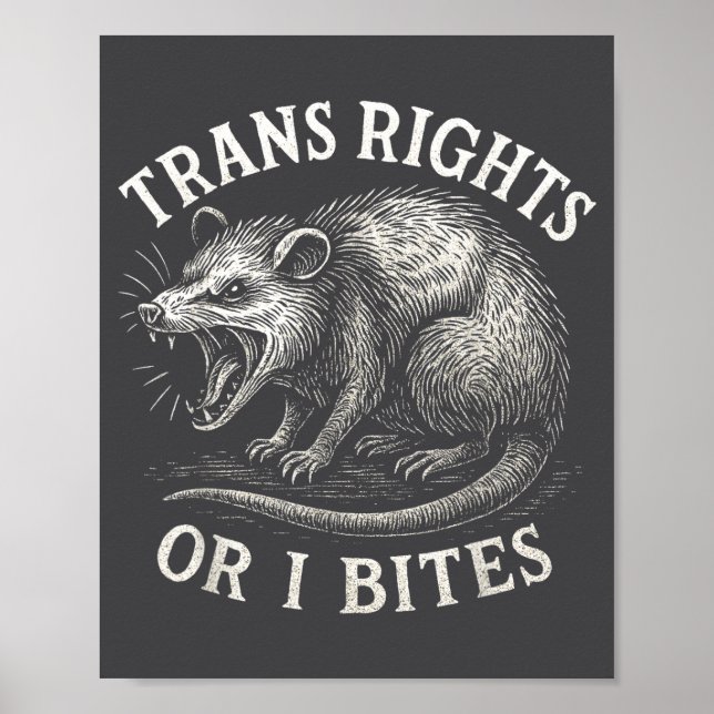 Trans Rights Or I Bites Funny Transgender Ssum Lgb Poster (Front)