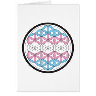 trans sacred geometry