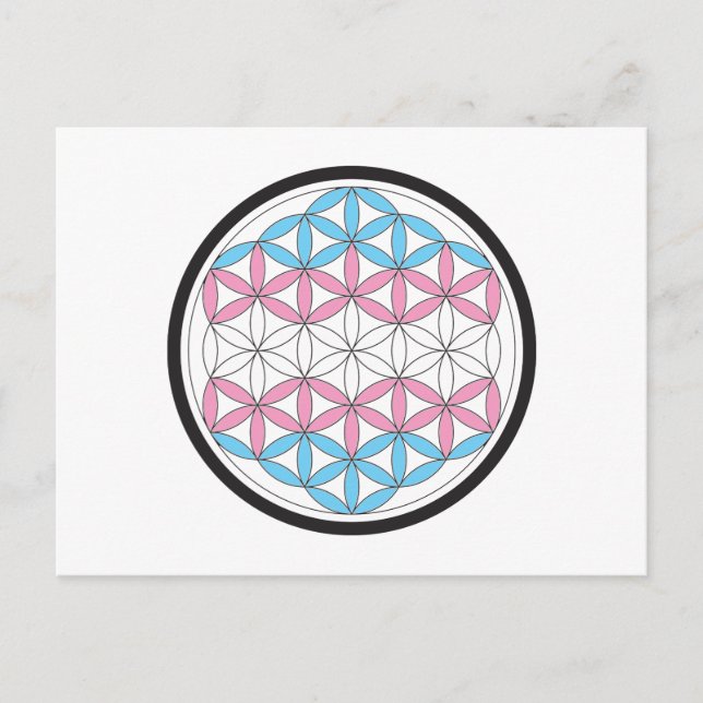 trans sacred geometry postcard (Front)