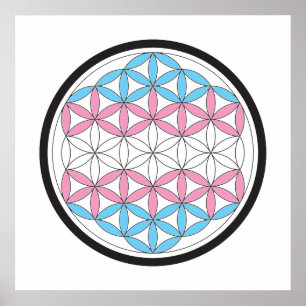 trans sacred geometry poster