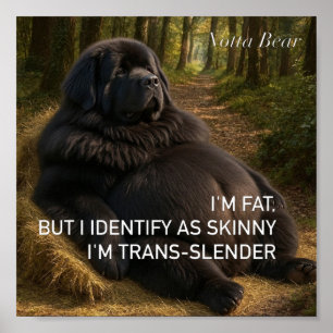 Trans-slender poster