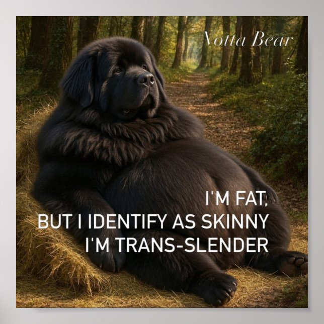 Trans-slender  poster (Front)