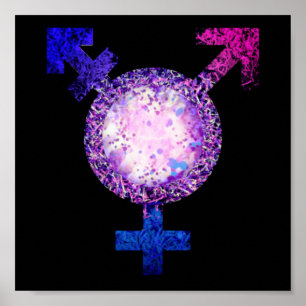 Trans Symbol Poster